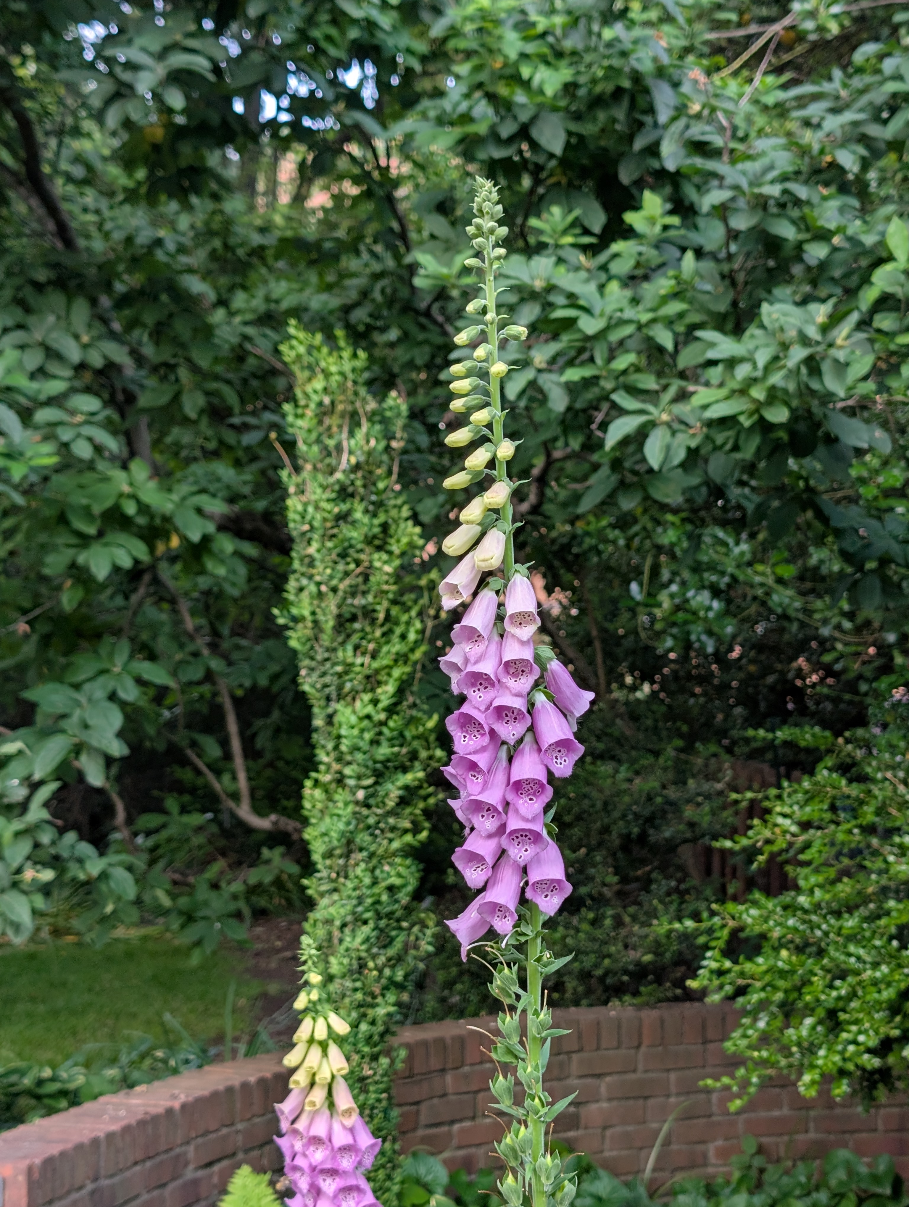 PXL_20250606_212211723