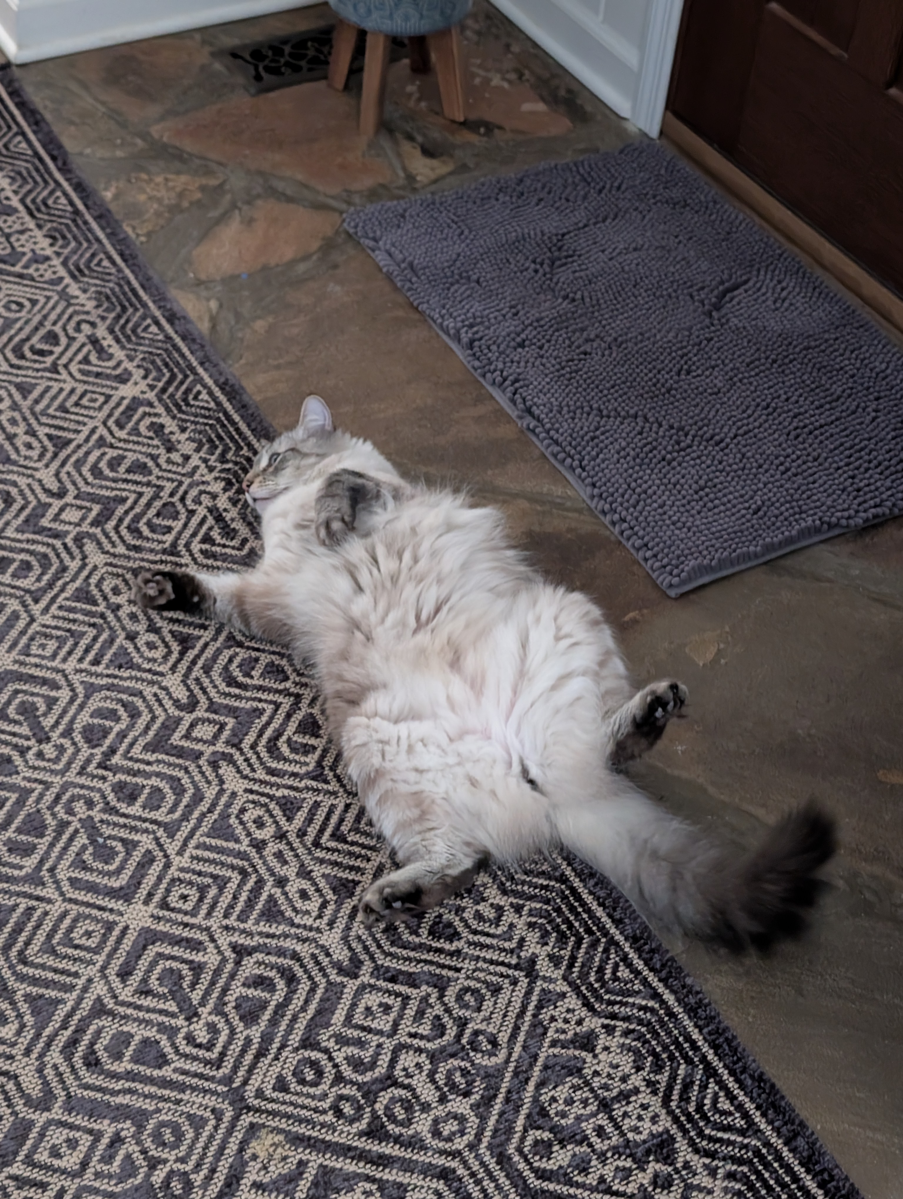 PXL_20251219_153159776