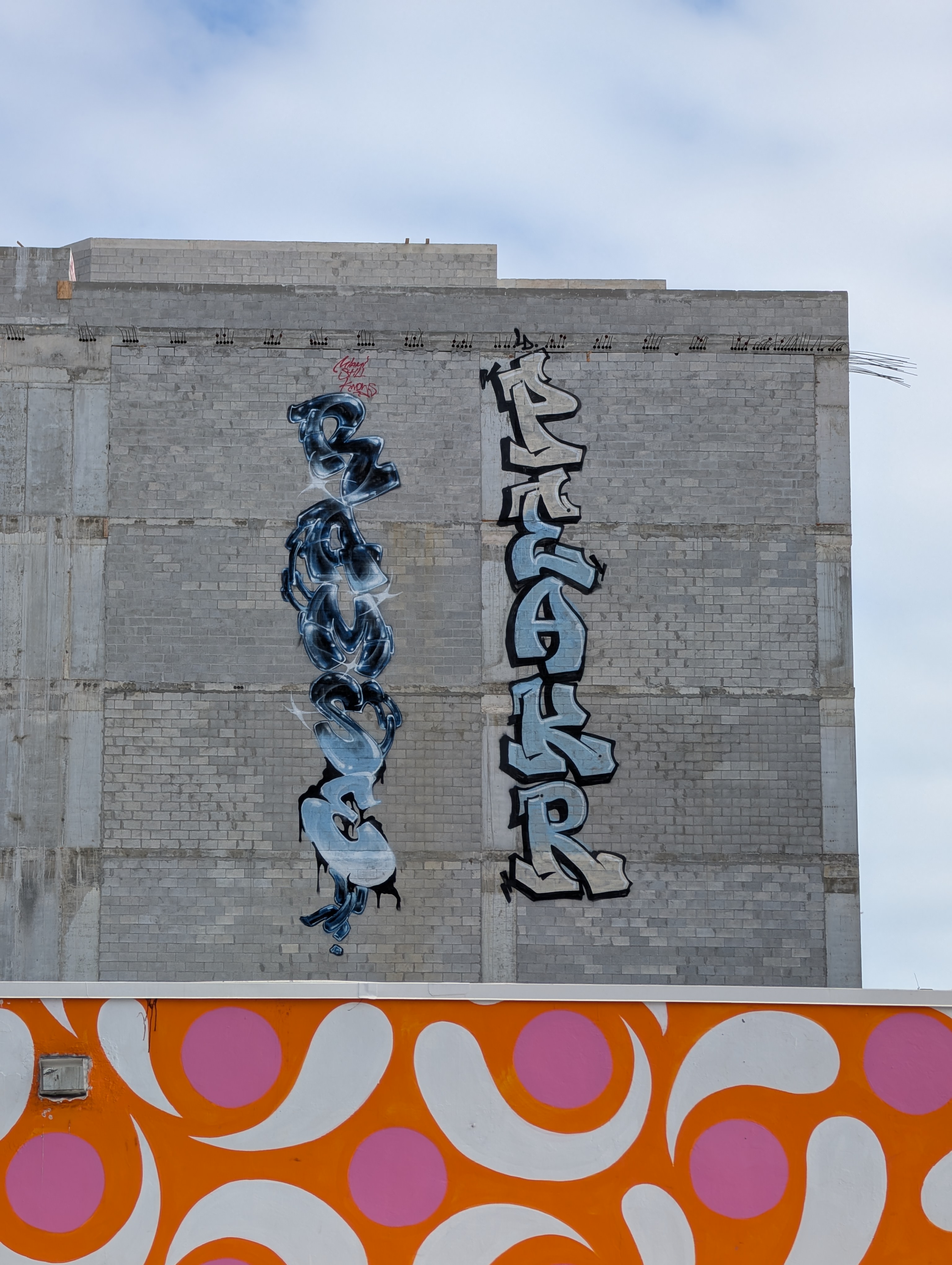 PXL_20260110_171810217